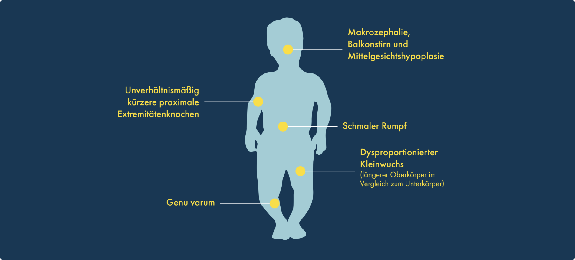 Silhouette eines Kindes mit Achondroplasie, das fünf wichtige körperliche Merkmale hervorhebt