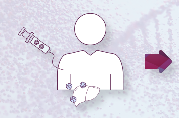 Human bust with syringe in arm, filled with vectors icons and a liver within the bust also containing vector icons.