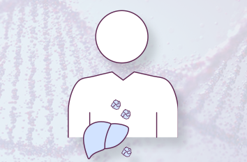 Human bust with liver shown surrounded by vector icons