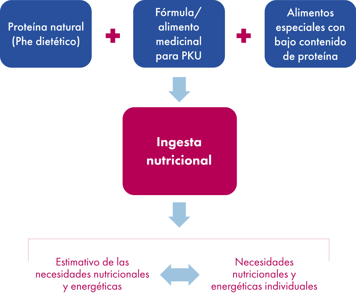 Icono de consideraciones dietéticas para la PKU